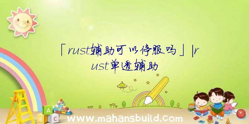 「rust辅助可以停服吗」|rust单透辅助